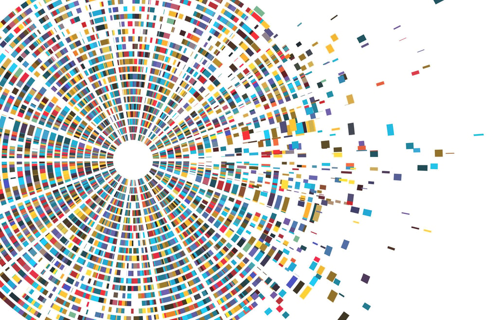Best Network Mapping Tools & Software
