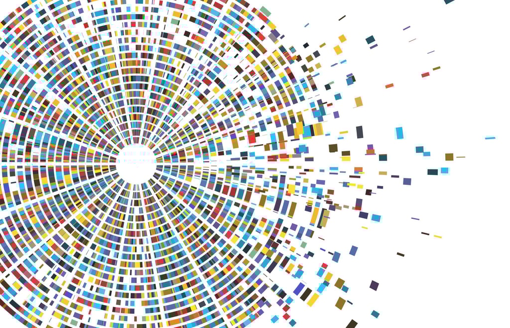 Best Network Mapping Tools & Software