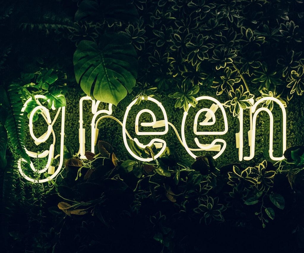 Data Center Sustainability: 5 Steps to a Green Data Center