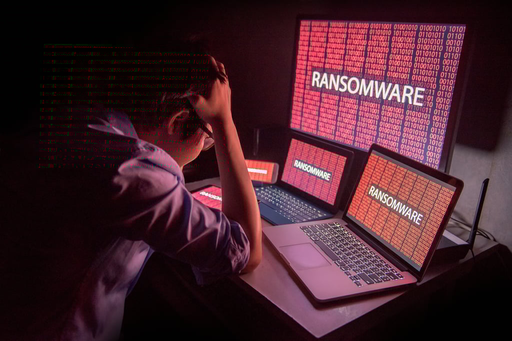 Examples of Ransomware: A Cautionary Tale