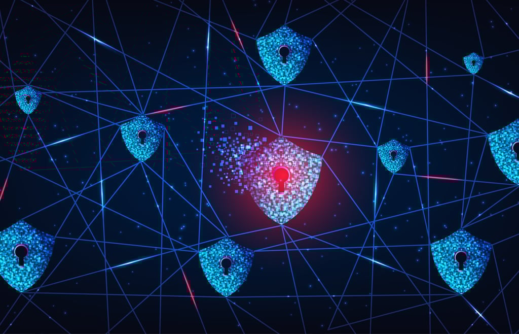 Network Vulnerability Assessment: Definition & Checklist