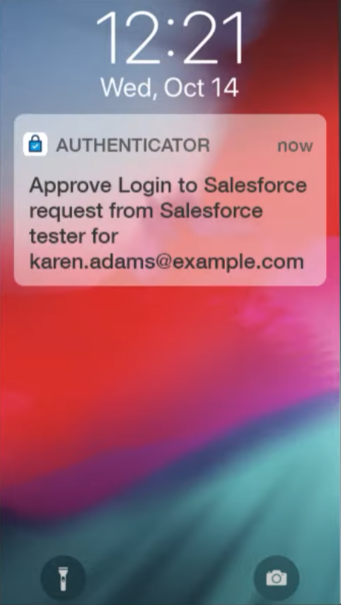 Step 4.1 - Salesforce MFA.