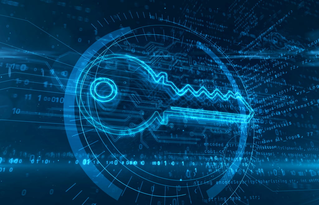 What Is DNS Encryption? Definition, Benefits, and How to Check